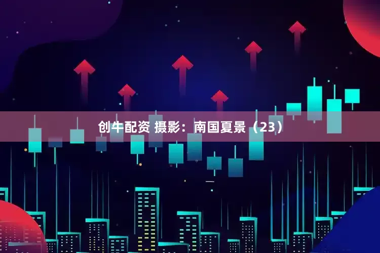 创牛配资 摄影：南国夏景（23）