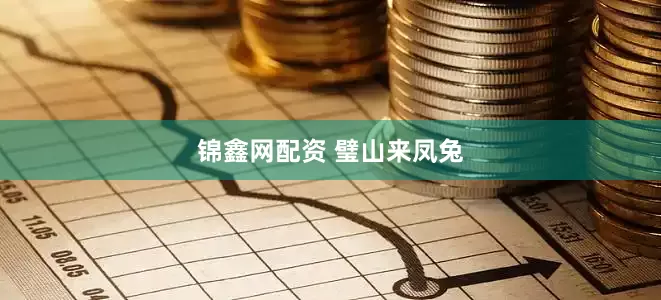 锦鑫网配资 璧山来凤兔