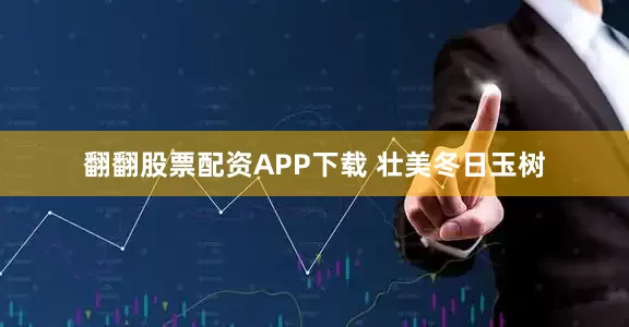 翻翻股票配资APP下载 壮美冬日玉树